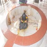 Vraj-Yatra-2014- (2526)
